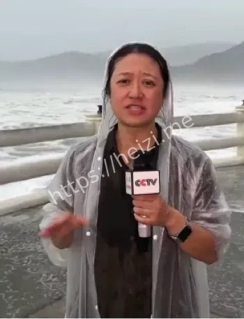 台风凤凰超强级大浪